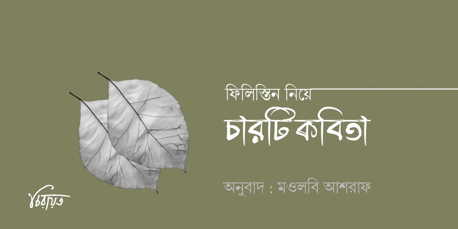 ফিলিস্তিন নিয়ে চার কবির চারটি কবিতা